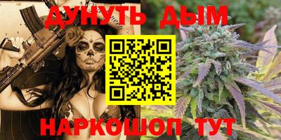 стаф Пенза