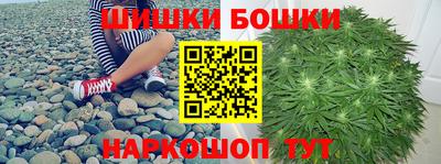 стаф Пенза