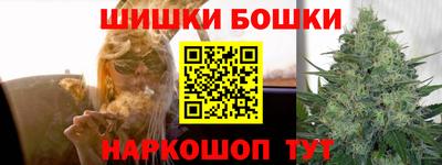 стаф Пенза