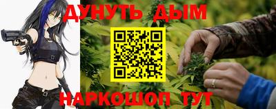 стаф Пенза