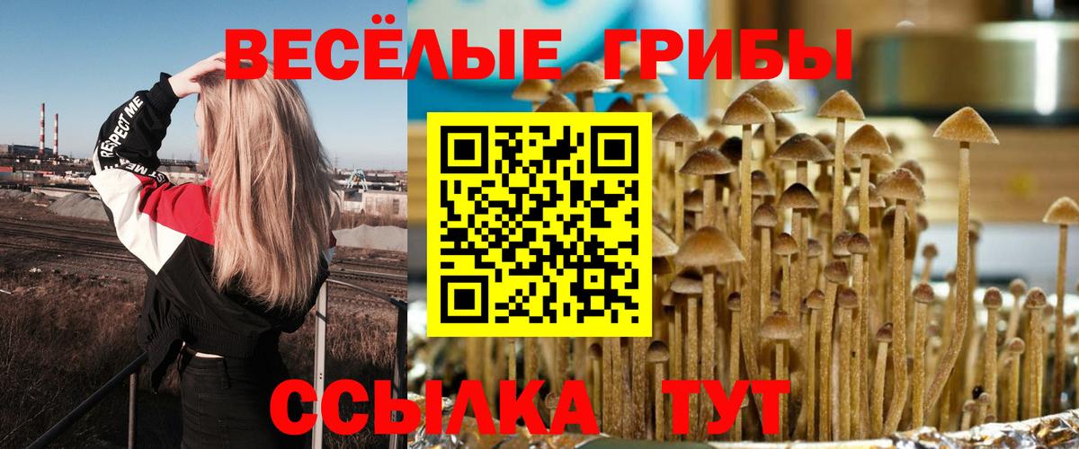 Псилоцибиновые грибы GOLDEN TEACHER Прокопьевск
