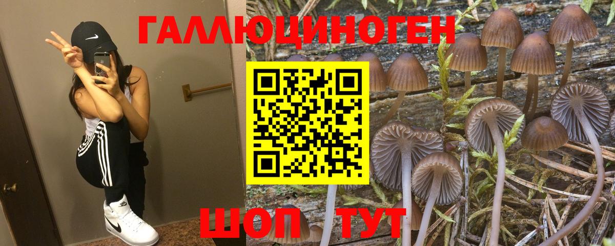 Прокопьевск  Псилоцибиновые грибы MAGIC MUSHROOMS  Псилоцибиновые грибы Psilocybe  Вход с VPN 