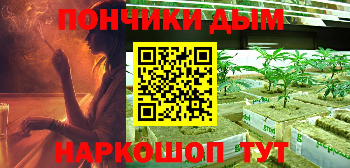 Конопля SATIVA & INDICA  Конопля ГИДРОПОН  Вход с VPN  Прокопьевск  Шишки марихуана SATIVA & INDICA 